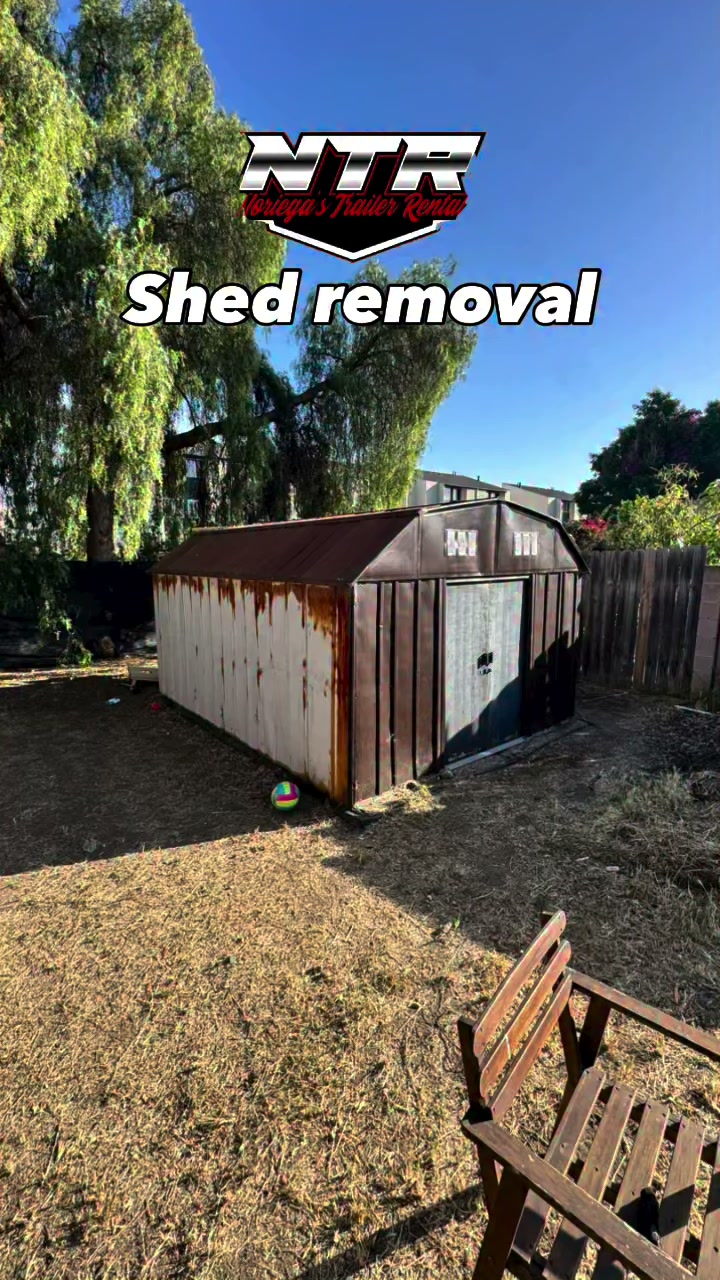 SHED REMOVAL